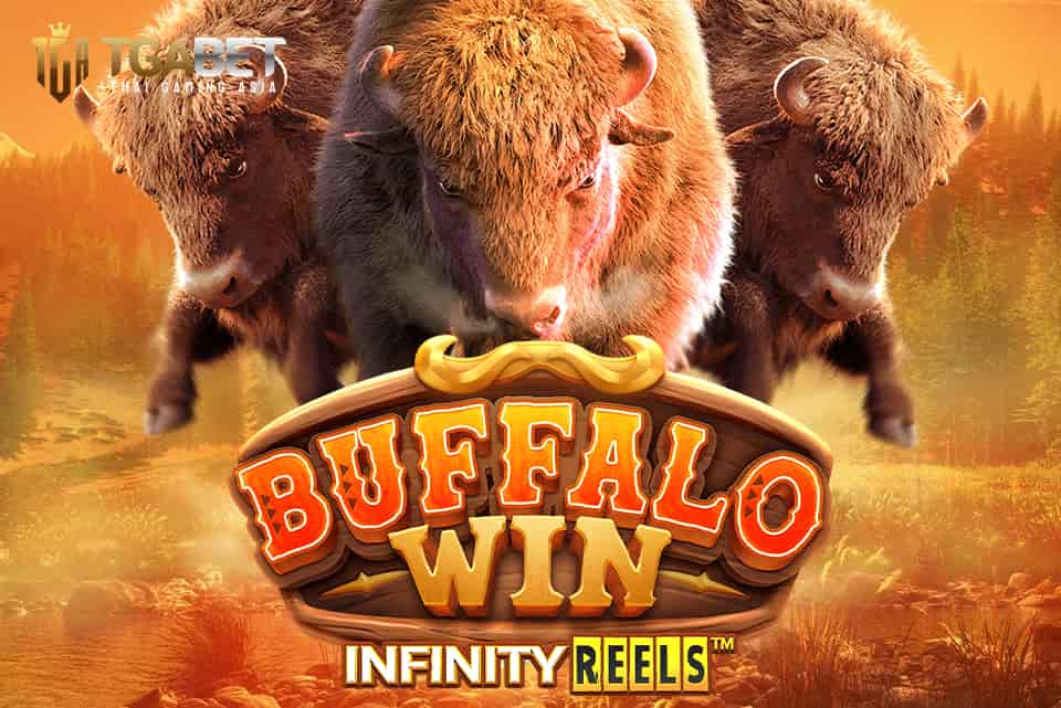 Buffalo Win_Banner