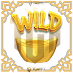 Symbol Wild