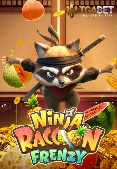 Ninja Raccoon Frenzy pg